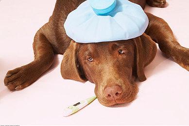 免费韩游《王权与自由》国际服9月17日推出 Steam锁国区